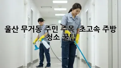 울산 무거동 주민 주목! ✨ 초고속 주방 청소 꿀팁 🍯