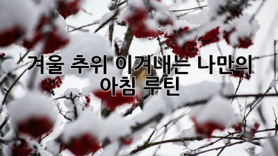 겨울 추위 이겨내는 나만의 아침 루틴 ✨